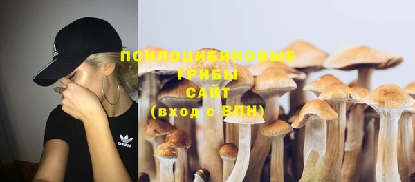 прущий лед Горняк