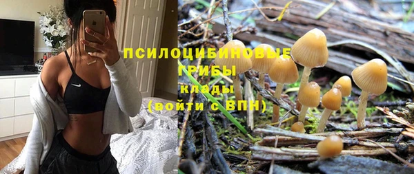 прущий лед Горняк