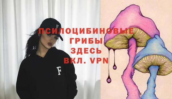 ECSTASY Верхний Тагил
