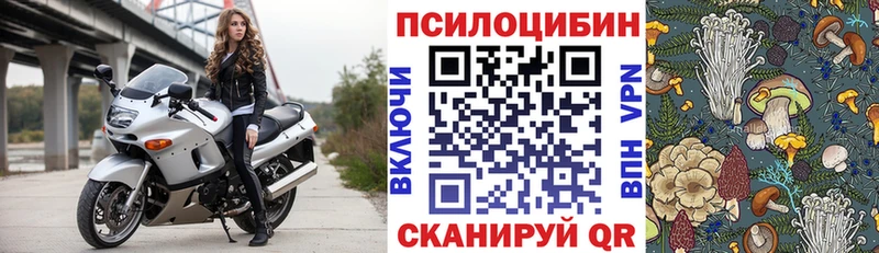 где продают наркотики  сайты даркнета как зайти  Галлюциногенные грибы GOLDEN TEACHER  Липки 